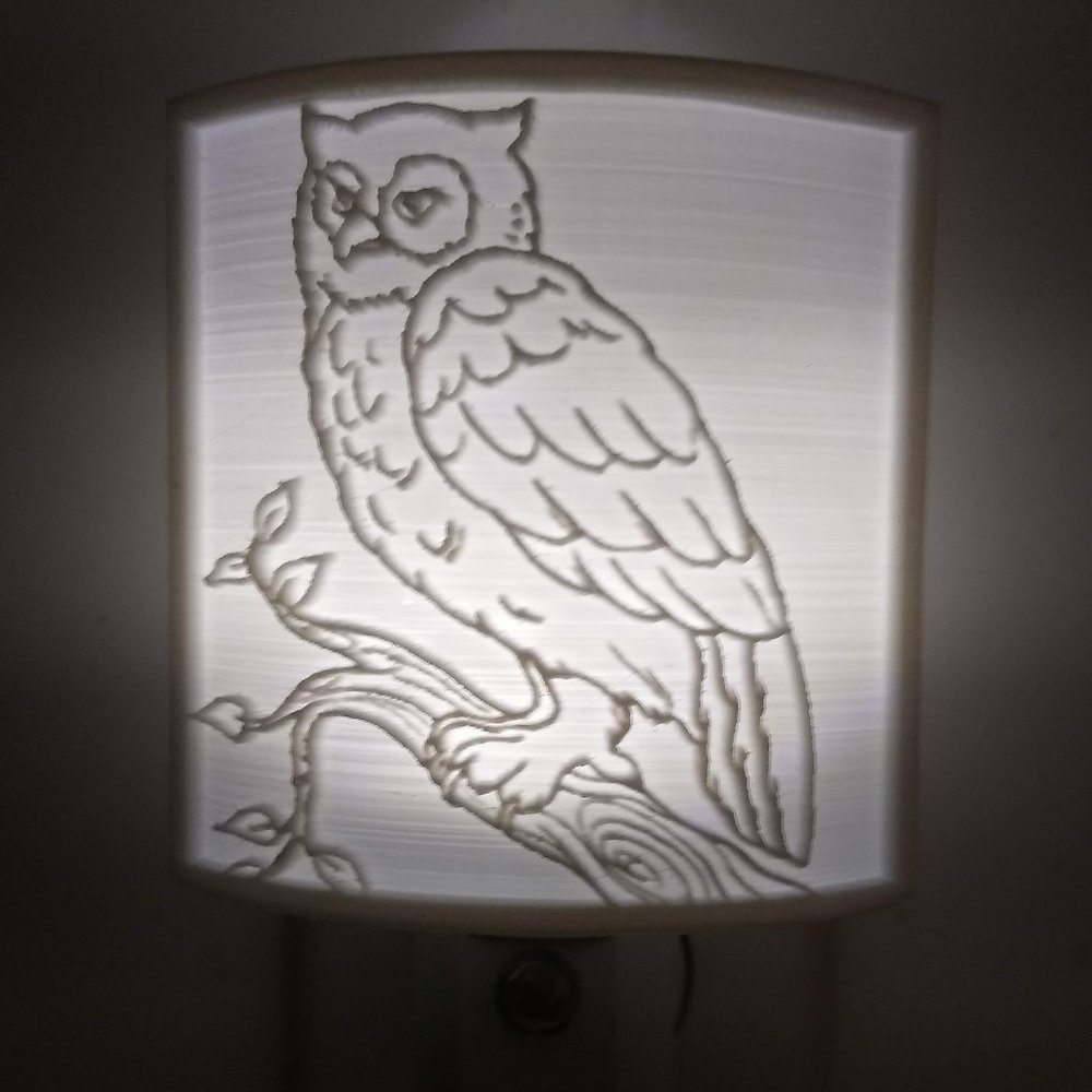 Wall plug led night light | OWL